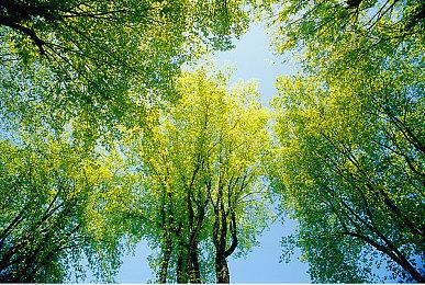 《铁拳8》终极版预告 32位角色黄金西装等